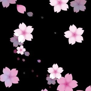 Meet your Posher, Bettina